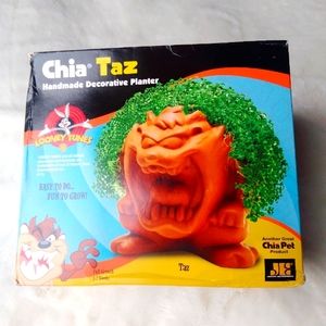 Looney Tunes Taz handmade decorative planter Chia Pet